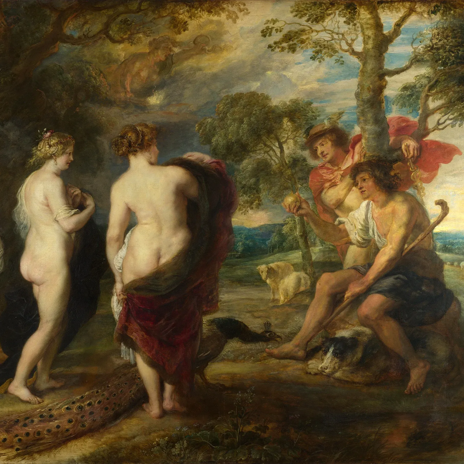 image_2025-06-11_222817950